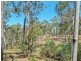 156 Fairview Drive, Willow Vale QLD 4209