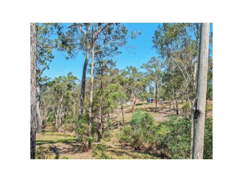 156 Fairview Drive, Willow Vale QLD 4209