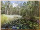 1126 Pumicestone Road, Toorbul QLD 4510