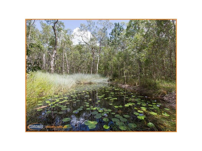 1126 Pumicestone Road, Toorbul QLD 4510