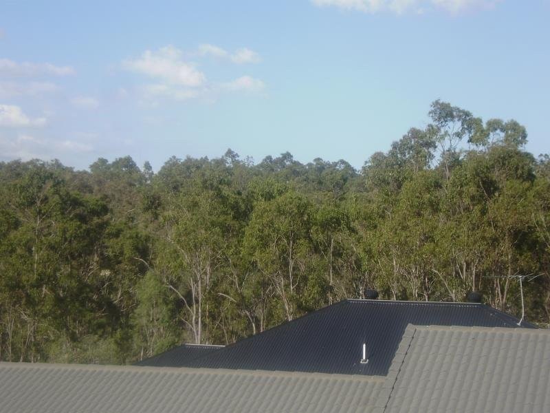 1 Kondalila Crescent, Springfield Lakes QLD 4300