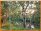 10 Mikkelsen Court, Camira QLD 4300