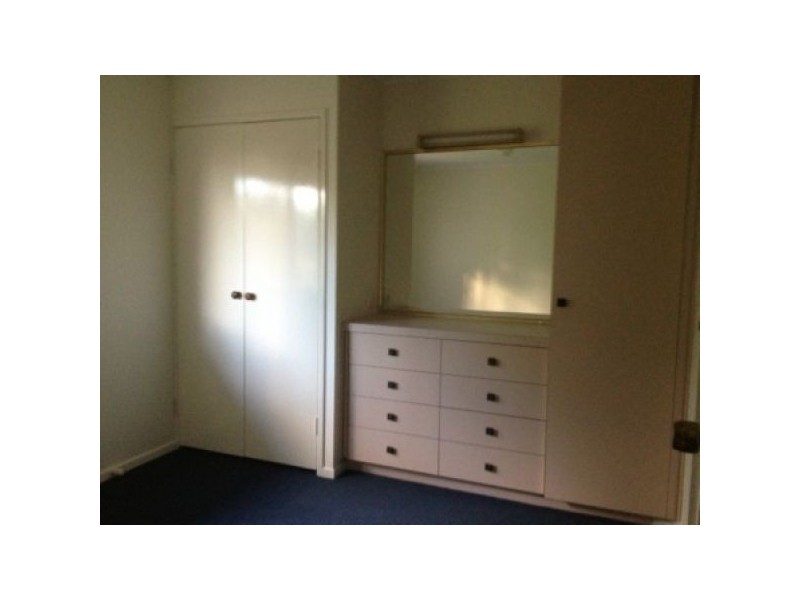 24 McCallum Street, Carseldine QLD 4034