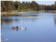 Bracken Ridge QLD 4017