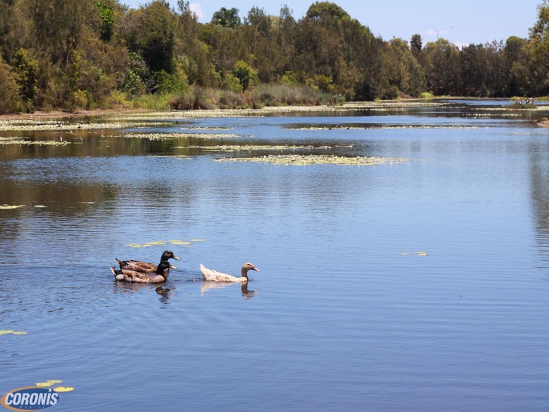 Bracken Ridge QLD 4017