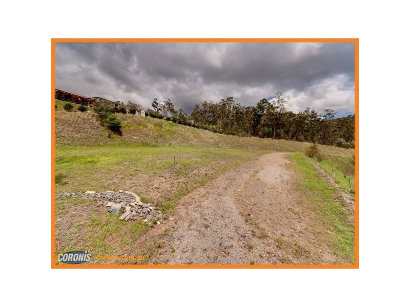 217 Crane Crescent, Nerang QLD 4211