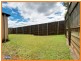 14 Turquoise Crescent, Springfield QLD 4300