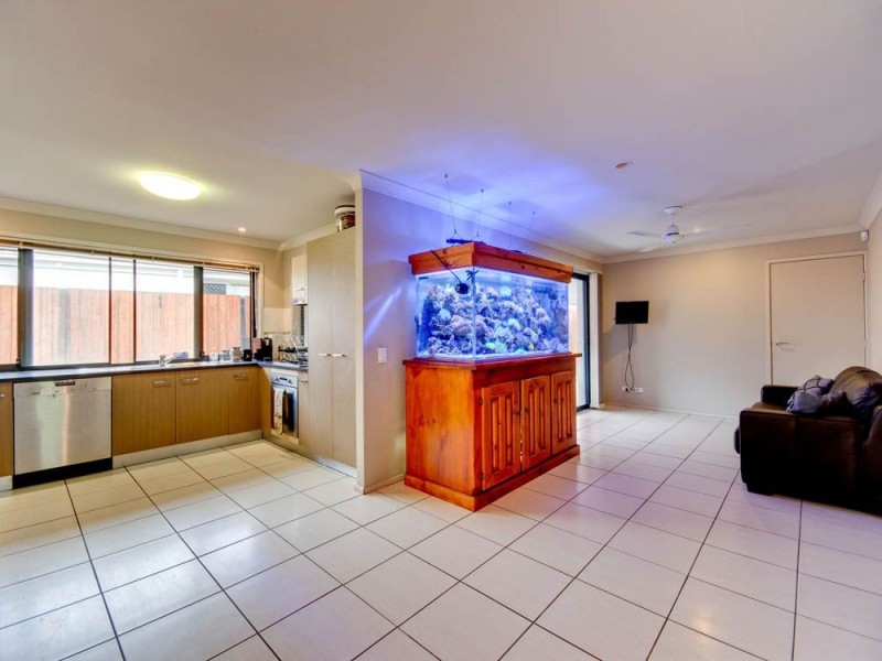 2 Nardoo Close, Carseldine QLD 4034
