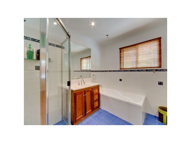 31 Mitchell Street, Arana Hills QLD 4054