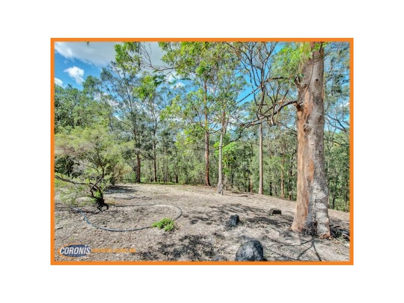 82 Birdlife Court, Nerang QLD 4211
