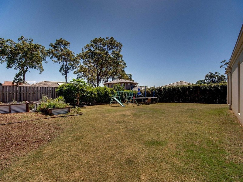 31 Conlan Street, Nudgee QLD 4014