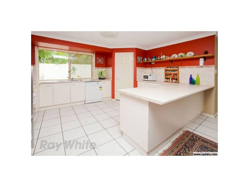 17 Bankswood, Camira QLD 4300