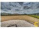 24 Gila Place, Springfield QLD 4300
