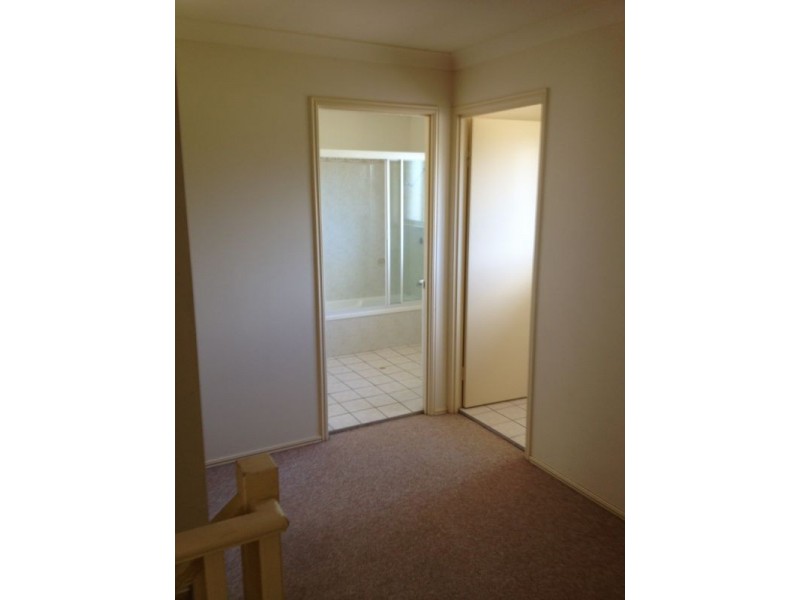 23 Candlebark Drive, Arana Hills QLD 4054