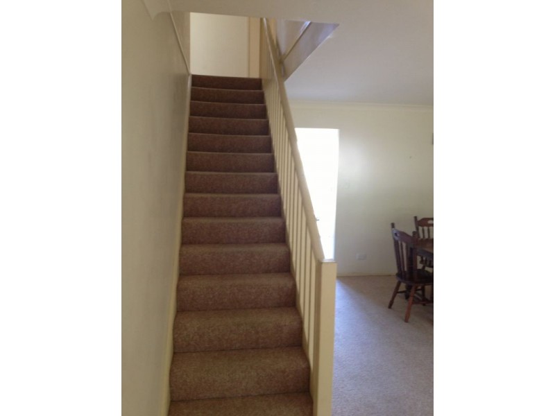 23 Candlebark Drive, Arana Hills QLD 4054