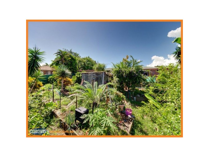 7 Pedder Court, Petrie QLD 4502