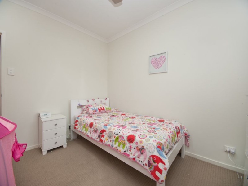 z61 Daintree Cct, North Lakes QLD 4509