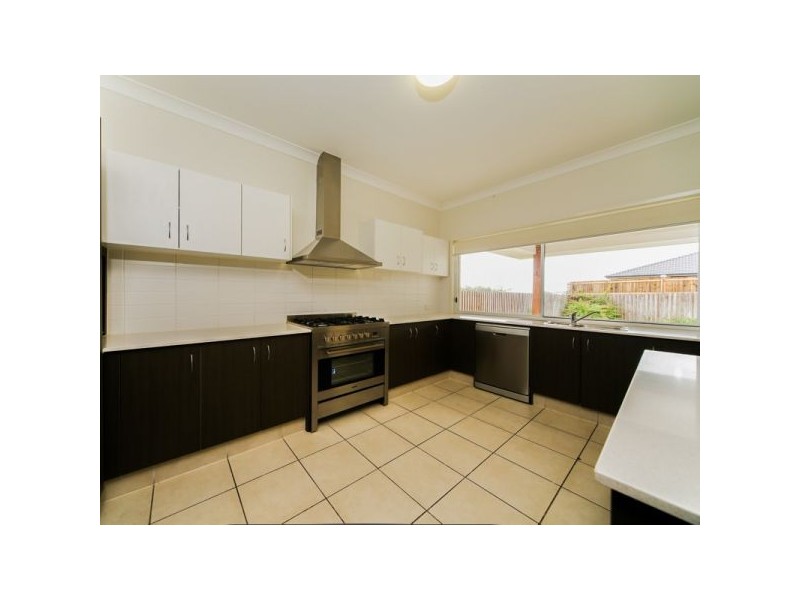 7 Kudzu Street, Upper Coomera QLD 4209