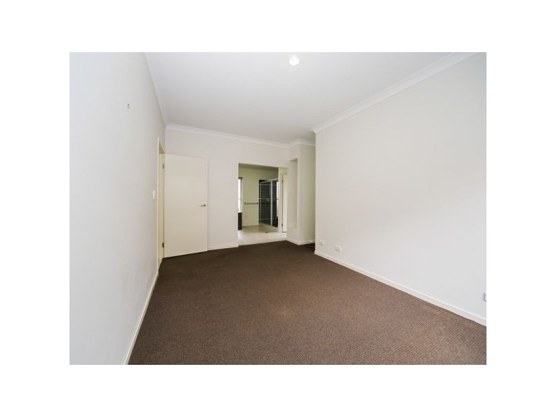 7 Kudzu Street, Upper Coomera QLD 4209