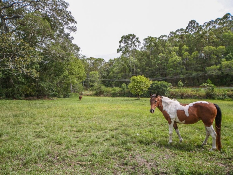 202 Baileys Mountain Road, Upper Coomera QLD 4209
