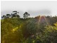 11 Helensvale Road, Helensvale QLD 4212