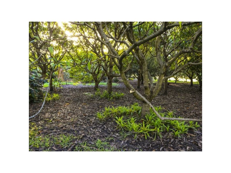 11 Helensvale Road, Helensvale QLD 4212