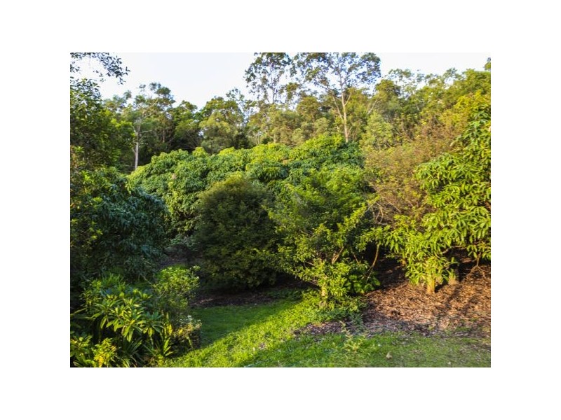 11 Helensvale Road, Helensvale QLD 4212
