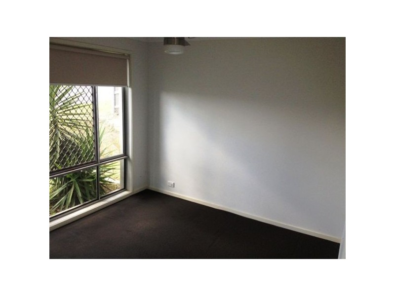 6 Daisy Street, Springfield Lakes QLD 4300