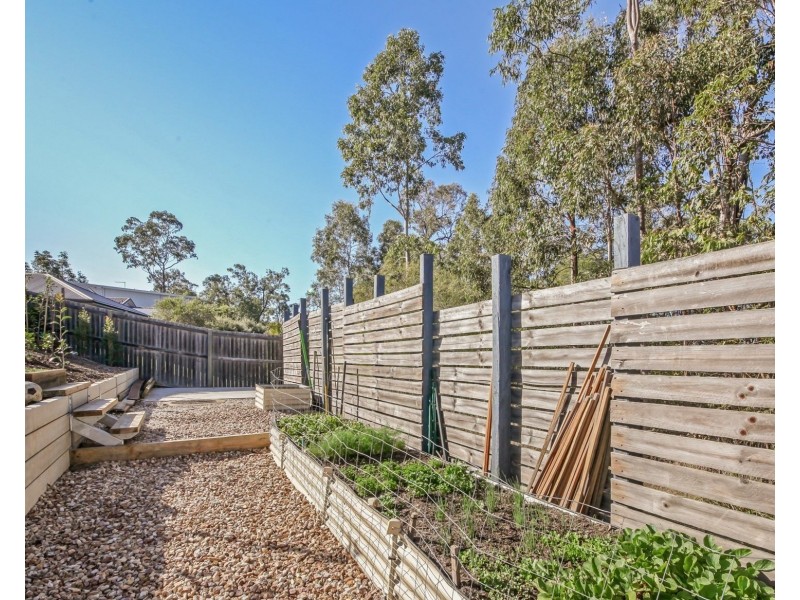 46 Aspect Terrace, Springfield Lakes QLD 4300