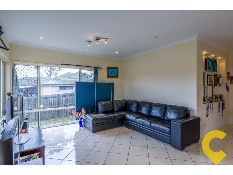 4 Birdwing Court, Springfield Lakes QLD 4300