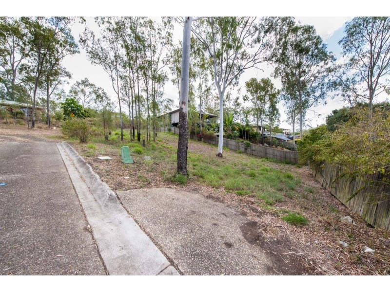 14 Henry Samuel Drive, Redbank Plains QLD 4301