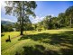 522a Cedar Creek Rd, Cedar Creek QLD 4207