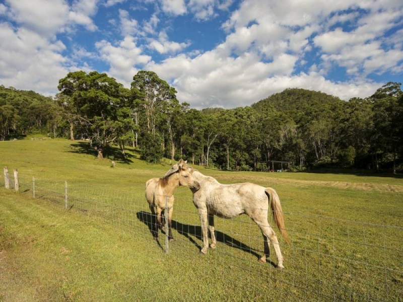 522a Cedar Creek Rd, Cedar Creek QLD 4207