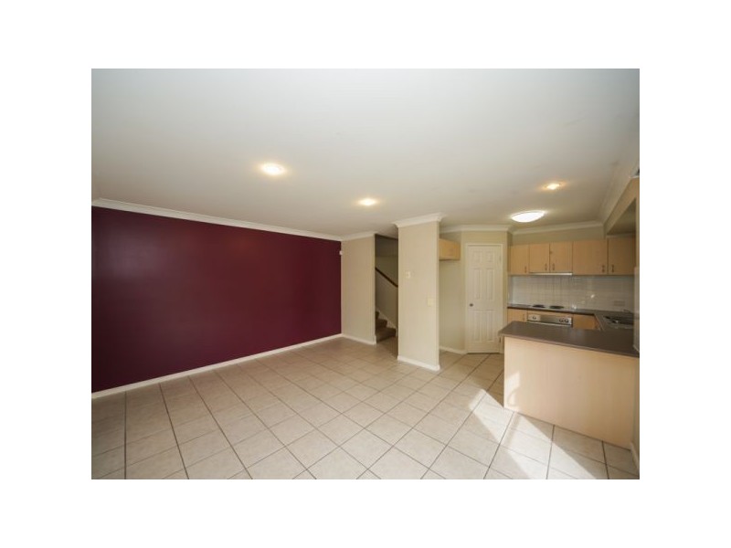 31 Bluetail Crescent, Upper Coomera QLD 4209