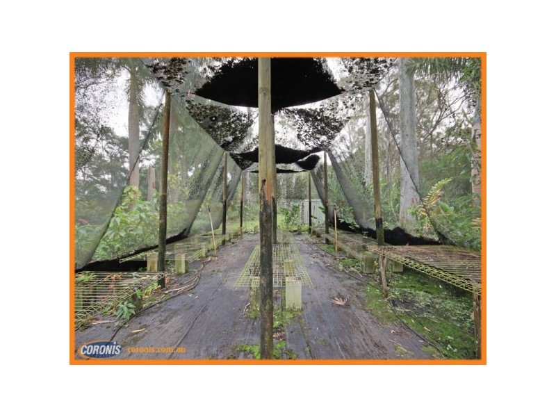 59 Creek Road, Burpengary QLD 4505