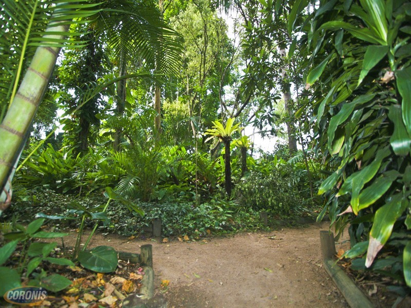 Carina Heights QLD 4152