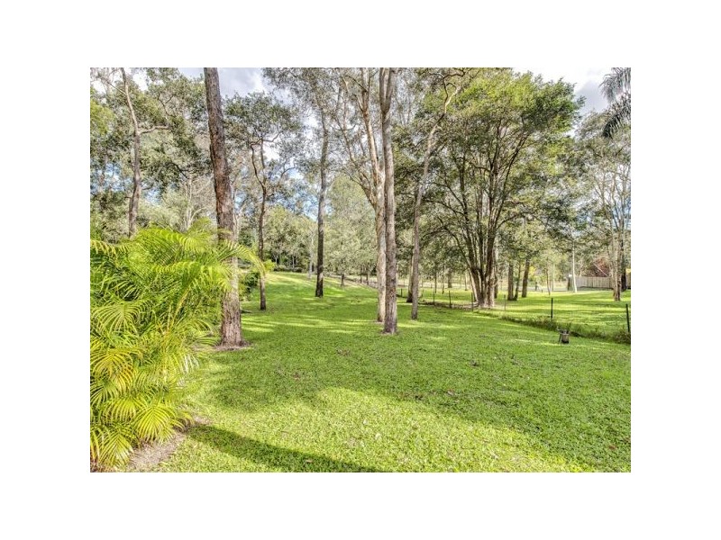 31 Woodlands Avenue, Camira QLD 4300