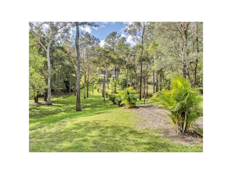 31 Woodlands Avenue, Camira QLD 4300