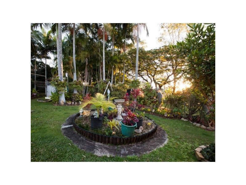 1107 Cavendish Road, Mount Gravatt East QLD 4122