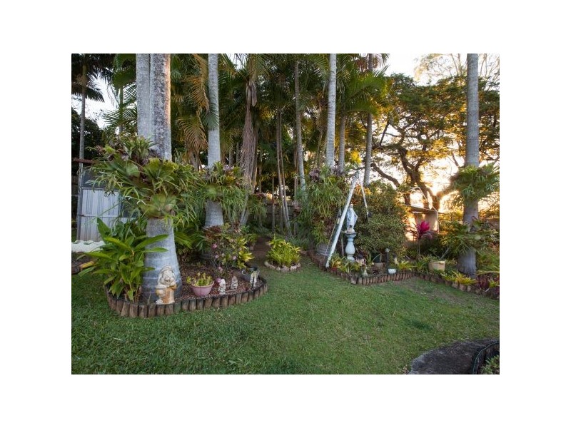 1107 Cavendish Road, Mount Gravatt East QLD 4122