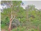 38 Eungella Terrace, Forest Lake QLD 4078