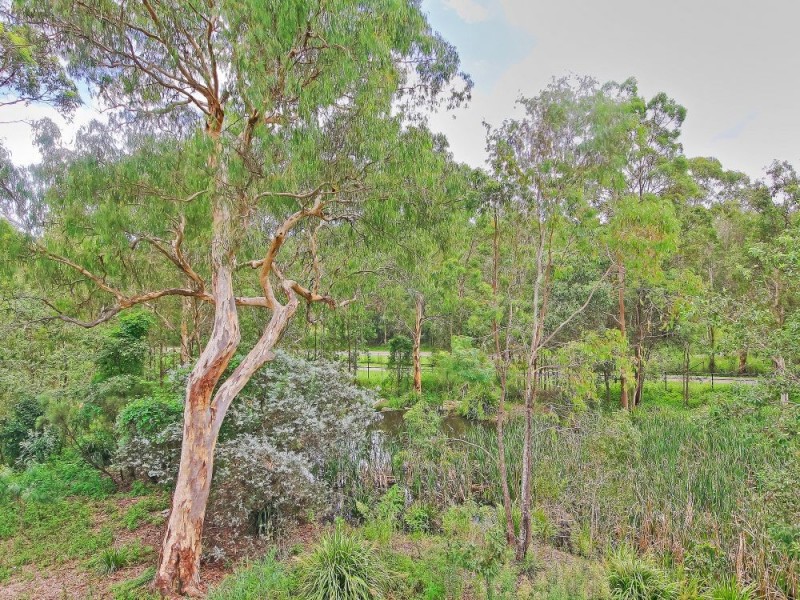 38 Eungella Terrace, Forest Lake QLD 4078