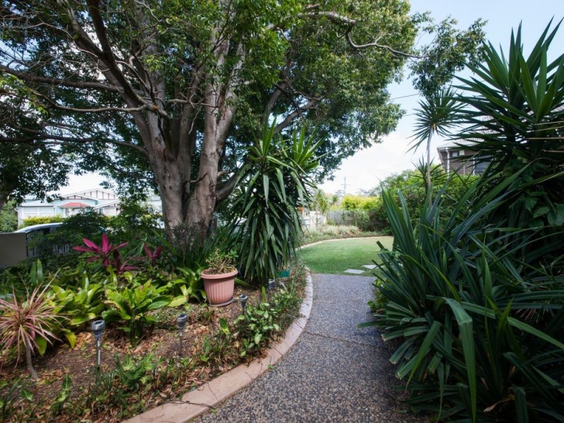 46 Reuben Street, Holland Park QLD 4121