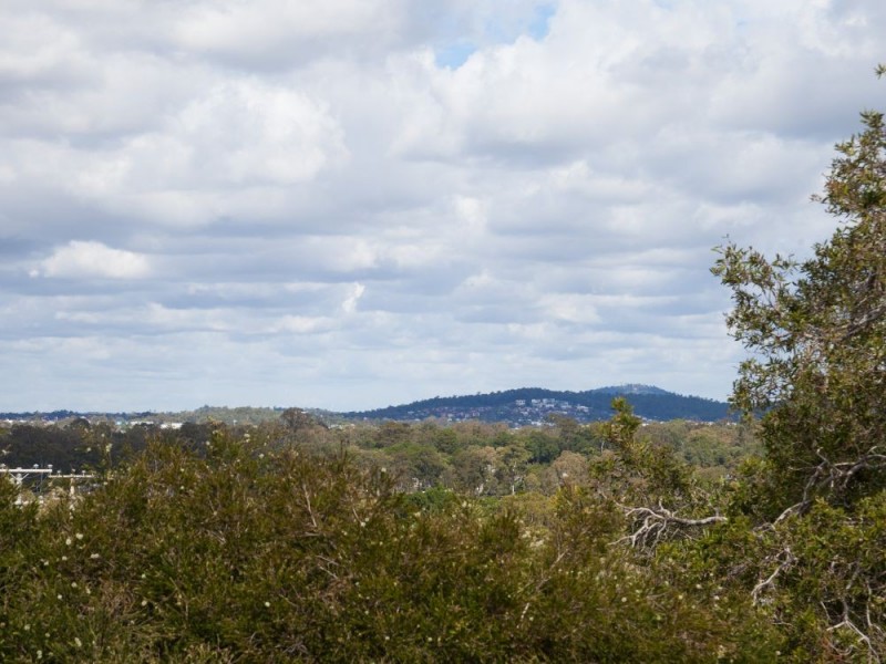 131 Ives Street,, Murarrie QLD 4172