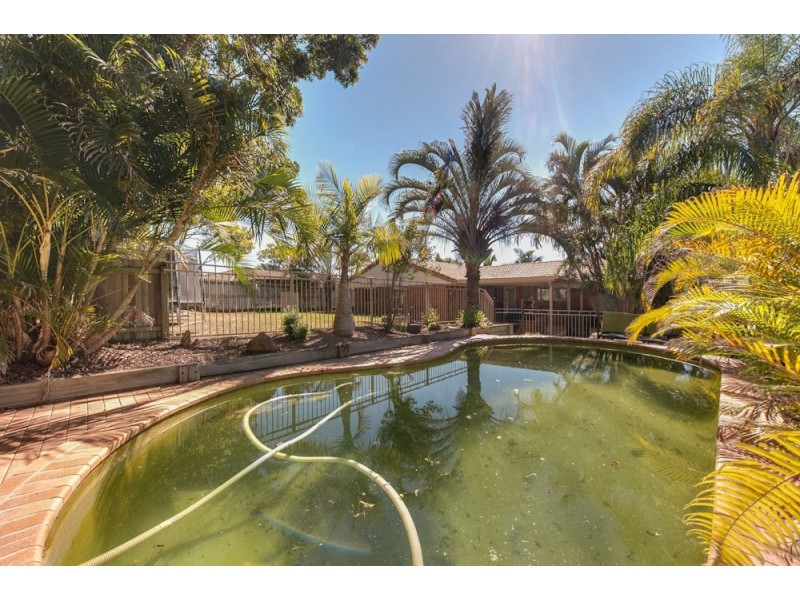 24 Gibbs Avenue, Collingwood Park QLD 4301