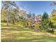 10 Hallett Avenue, Camira QLD 4300