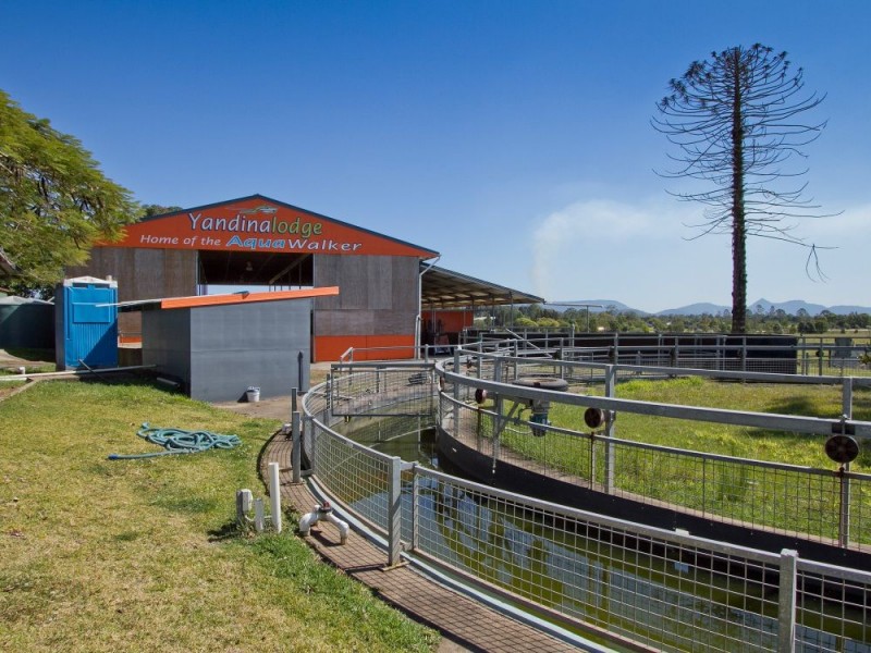 72 Sheahans Street, Yandina QLD 4561