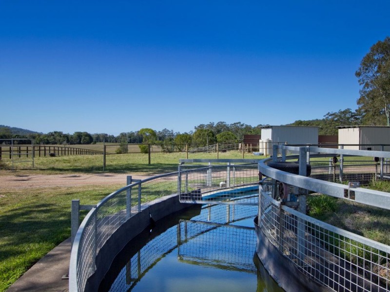 72 Sheahans Street, Yandina QLD 4561