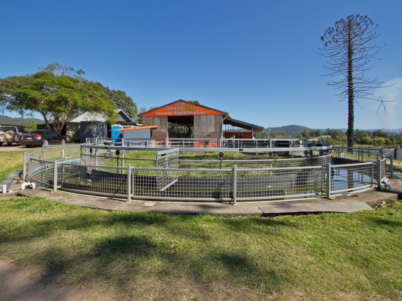 72 Sheahans Street, Yandina QLD 4561