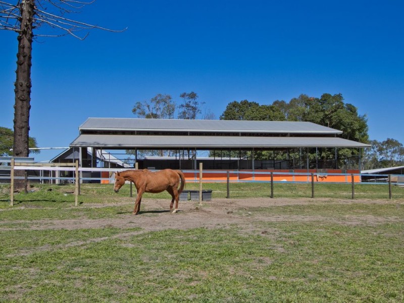 72 Sheahans Street, Yandina QLD 4561